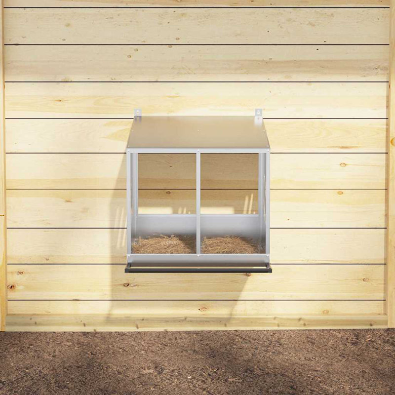 Chicken Coop, Silver