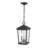Bourke 2 - Light Outdoor Hanging Lantern-1683147483