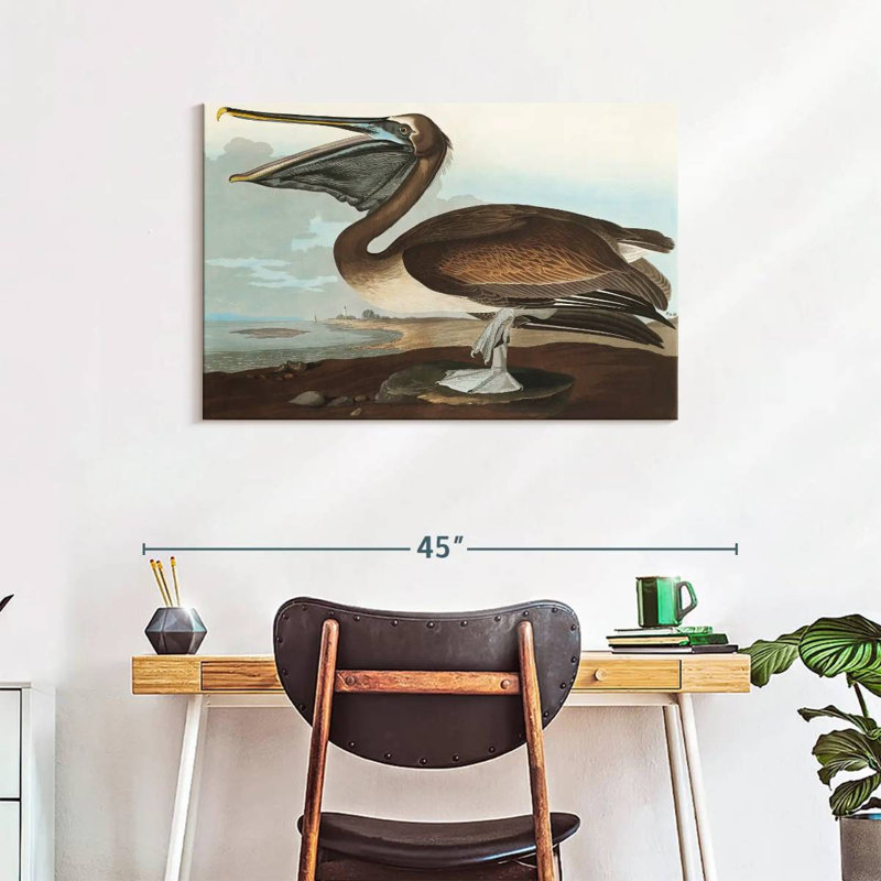 Brampt Brown Pelican I, 24" H x 36" W