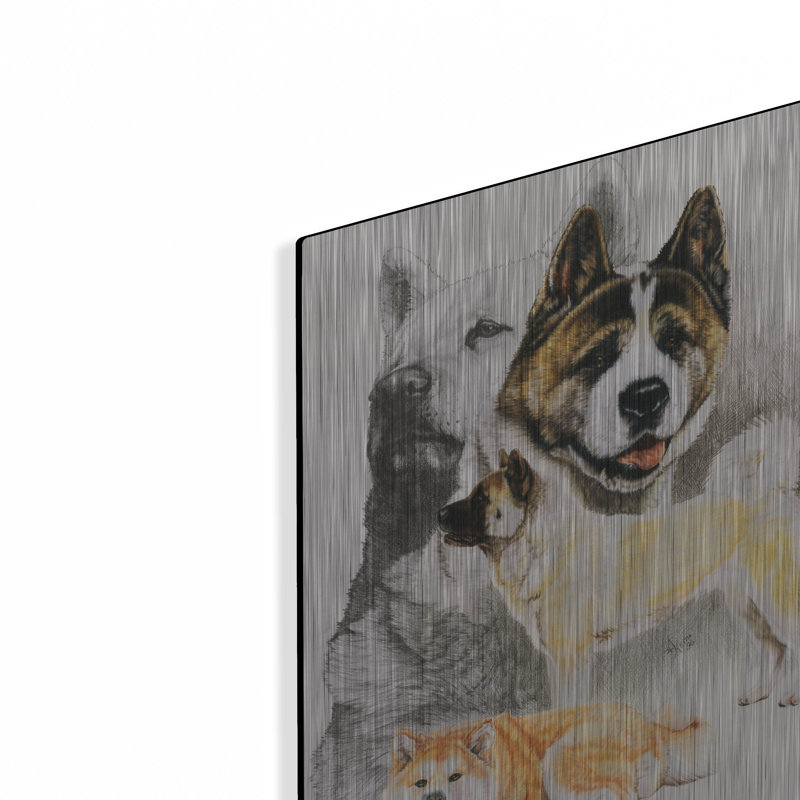 "Akita 2" par Barbara Keith, H 16 po x l 12 po