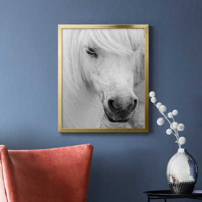 Island Pony I Premium Framed Canvas - Ready to Hang