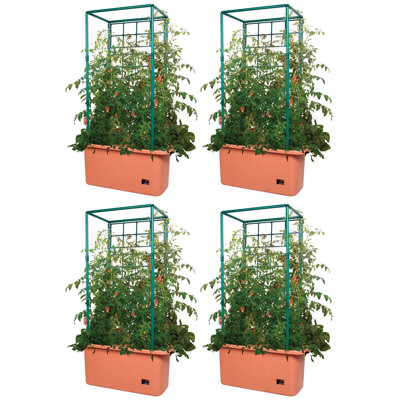 Hydrofarm Accessory Fruits / Vegetables