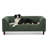 Pet sofa with backrest and armrests