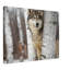 Reproduction d'art loup gris-1058081907-1058081905