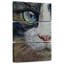 Chat raquette Brampt-108555915