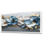 Tulipes bleues et bleues, rivière I, art mural-101973749-146270083-146270088