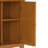Manervia 32"W Solid Wood Low Storage Cabinet With Adjustable Shelves-2099515411