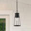 Luminaire suspendu d'extérieur noir 1 lumière H 17,5 po Shizu