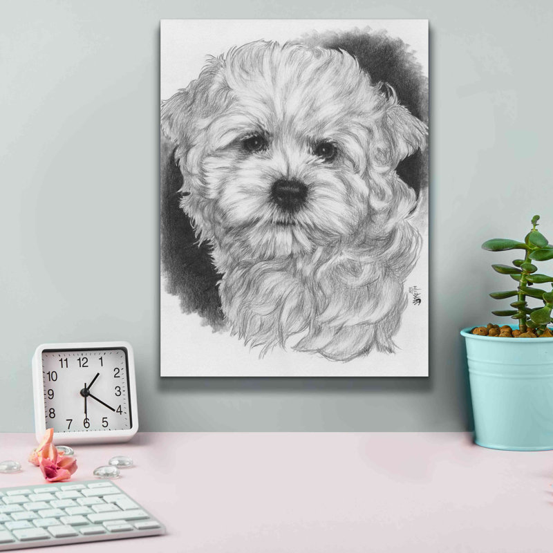 Maltichon par Barbara Keith - reproduction d'art sur toile tendue
