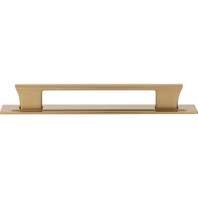 Zander 12" Center To Center Bar Pull
