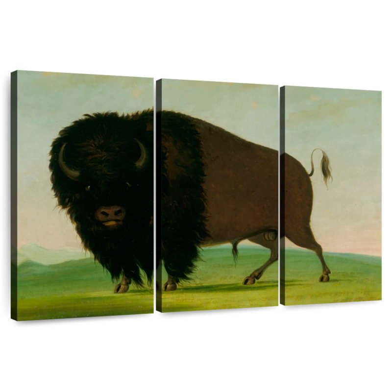 Brampt Buffalo Bull Grazing On The Prairie, 48" H x 74" W
