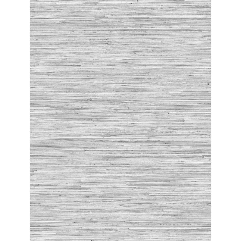 Akita, Light Gray