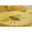 Bumblebees & Flowers 30Pc Dinnerware Set- Service For 6 People