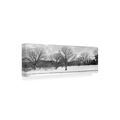 Art mural sur toile tendue - Alan Blaustein «Snow-Laden Branch Calm», art mural pour salon, chambre à coucher ou bureau - 10 x 32