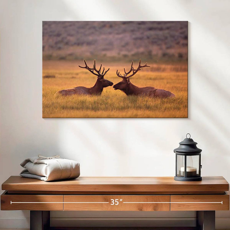Bramd Stag Buddies, H 16 po x l 24 po