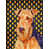 Airedale