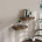 2 Piece Floating Shelf with Drawer (Set of 2)-97765767