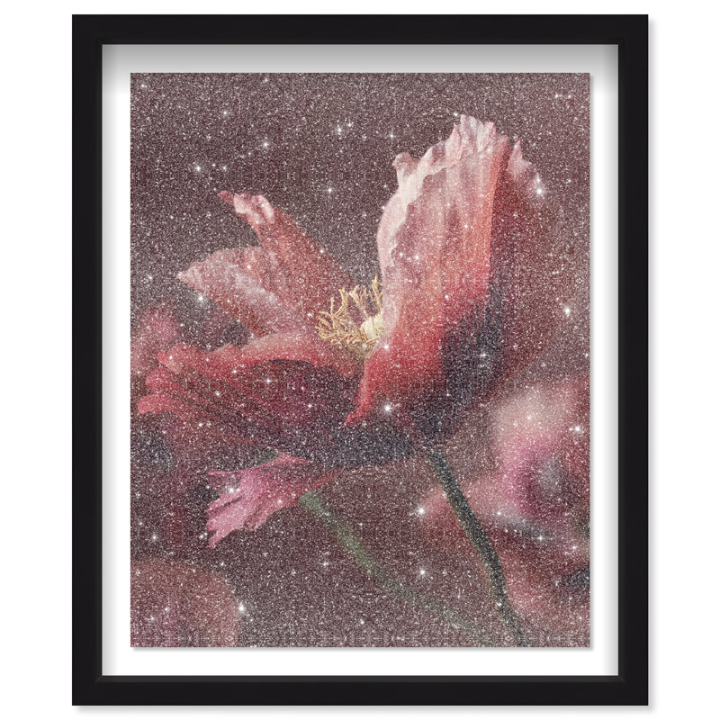Merlot Blush Blossom II Framed Graphic Art, 37.5"H x 31.5"W, Black Shadowbox