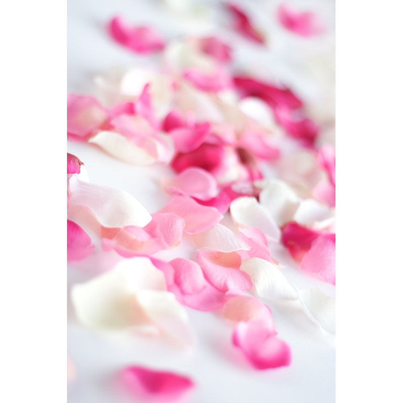«Furtek Scattered Petals» sur toile par Loooby, H 18 po x l 12 po