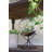 Boolia Terrarium-1237005830