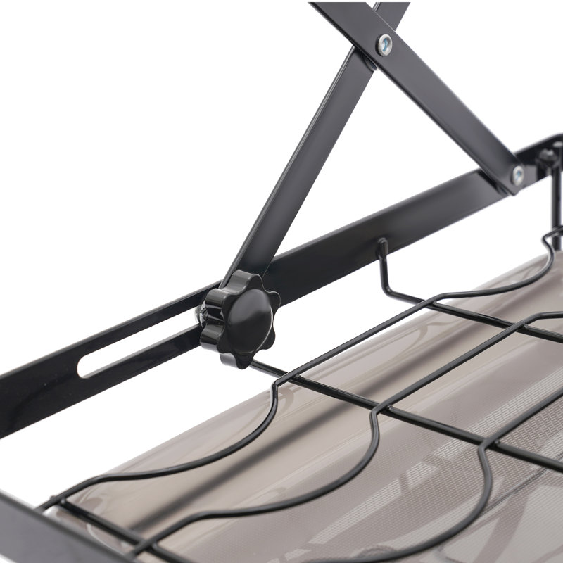 2-Tier Steel Dish Rack, Black