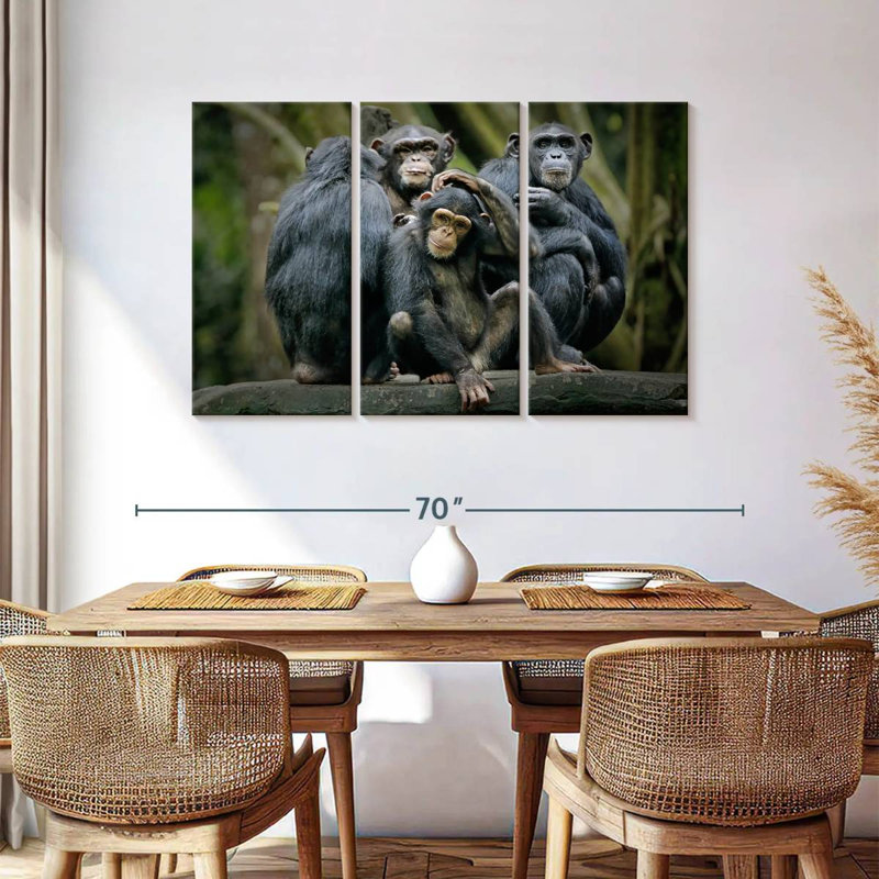 Chimpanzés et bonobos, H 36 po x l 57 po