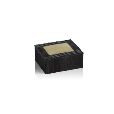 Resin/Brass Decorative Box