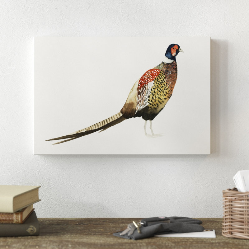 Pheasant I by Grace Popp - Painting Print, Wrapped Canvas, 30cm H x 46cm W