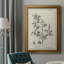 Toile encadrée de qualité supérieure antique noir et blanc botanique IV - prête à être accrochée-1285329258