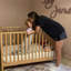 Lala 3 -in-1 Convertible Crib-2142848989