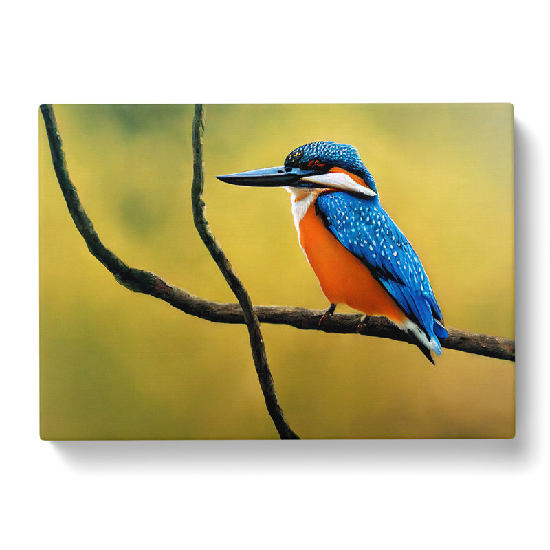 Euphoric Kingfisher Bird - Wrapped Canvas