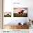 Brown Texas Longhorn-107503336