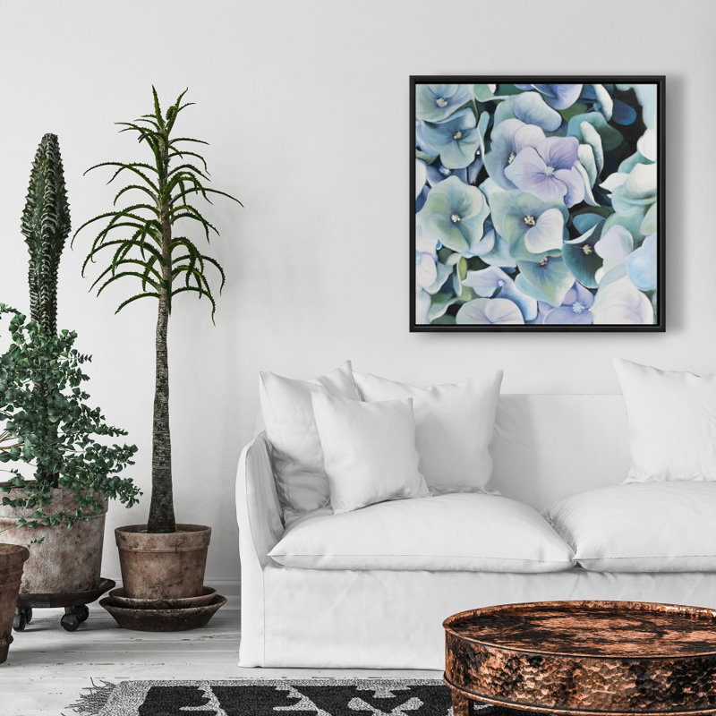 " Hydrangea Plant "