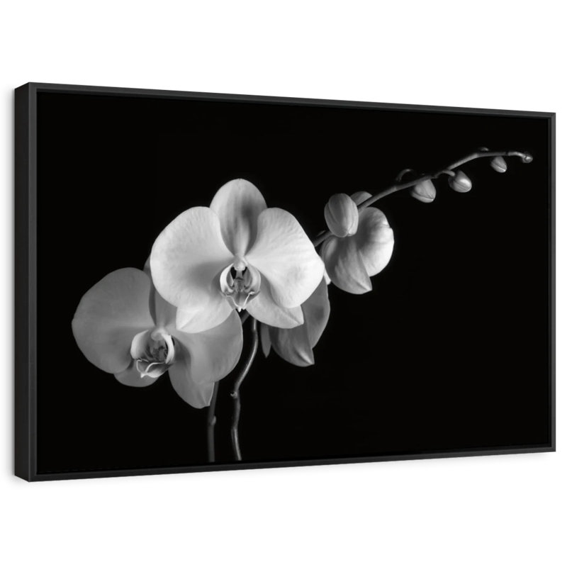 " Moth Orchids II ", 21" H x 31" W