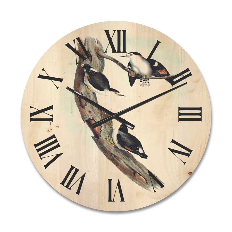 Horloge murale australienne, Petit