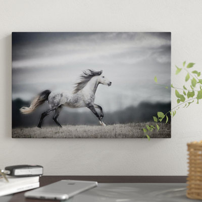 «Wind Blown Mane II» par PH Burchett - Impression sur toile