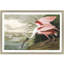 « rosee spoonbill », peinture encadrée