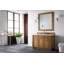 Bristol 48'' W Single Vanity-121689404-133039565-35610171