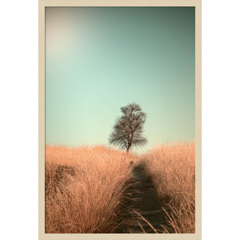 Grass And Path by Jaap Van Den, Brown, 23" W x 33" H