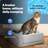 ScoopFree® Crystal Smart Self-Cleaning Litter Box