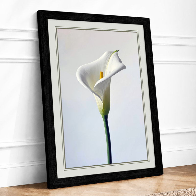 Single Calla Lily Botanical - Framed Print, A3 - 42.0 x 29.7 cm, Black