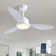 42''/52'' Standard Dimmable Ceiling Fan With Light Kit