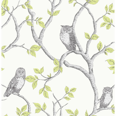 Woodland Owls Green Wallpaper