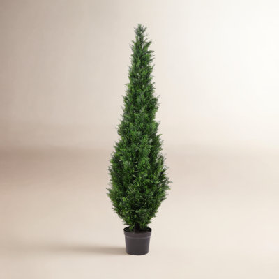 Yarbro Cedar Topiary in Pot