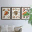 Collection de coquillages VII - ensemble de 3 reproductions d'art sur toile-1813018575-1813018574