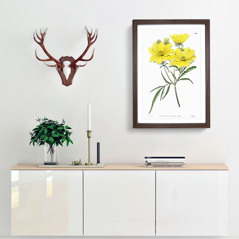 Yellow Tickseed Flowers - Framed Print, 65cm H x 48cm W x 2cm D, Walnut Framed