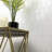 Celestine Ellipse 12 in. x 12 in. Glossy Glass Mosaic Wall Tile