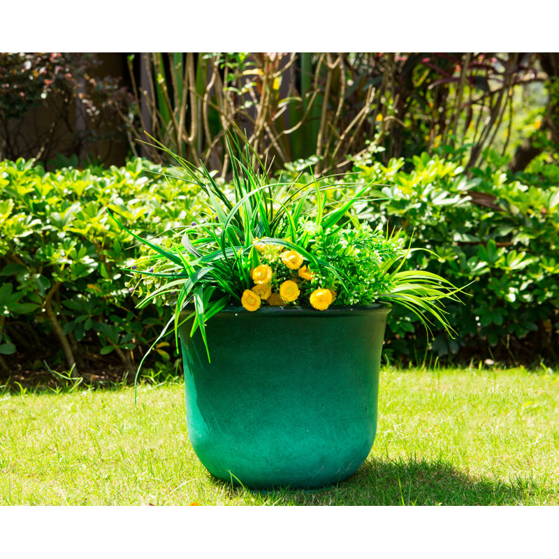 Pot de fleurs en béton Jetter, H 9,8 po x l 11,8 po x P 11,8 po, Vert