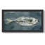 Impression sur toile tendue Tavin Deep Sea Swimmer II-2067415431