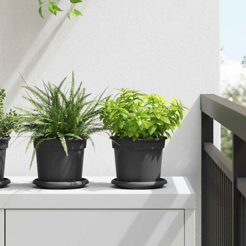 Pot Planter, 12cm H x 15cm W x 15cm D, Black